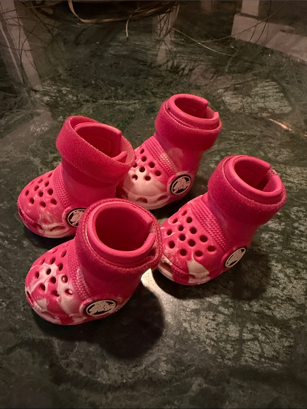 DOG CROCS pink Dragon fruit Bark Box Exclusive, Size Small